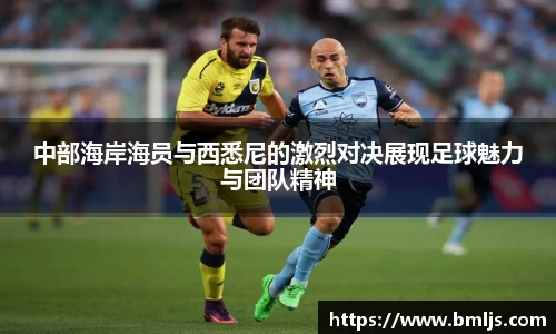金年会